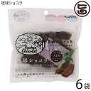 【名称】チョコレート菓子 【内容量】40g×6P 【賞味期限】製造日を含め240日 【原材料】粗糖(国内製造)、カカオマス、砂糖、ココアパウダー、黒糖(沖縄県産)、糖蜜、ココアバター、全粉乳　/　乳化剤、香料、(一部に乳成分、大豆を含む) 【保存方法】直射日光・高温多湿を避け、常温で保存 【栄養成分表示】100gあたり　エネルギー:480kcal、たんぱく質:5.9g、脂質:21.9g、炭水化物:64.8g、食塩相当量:0.02g【JANコード】4952469021002 【販売者】株式会社オリーブガーデン（沖縄県国頭郡恩納村） メーカー名 ケンコーフーズ 原産国名 日本 産地直送 沖縄県 商品説明 コク深い自然の甘さを感じるチョコレート菓子です。優しい甘さが珈琲にベストマッチ！「昔から沖縄で愛されている黒糖の優しい美味しさを全国に広げたい」そんな想いから生まれたのが「琉球ショコラ」シリーズ！優しい甘さの沖縄県多良間島産黒糖と、ガーナ産カカオを使用したハイカカオチョコレート(72％)のほろ苦さをミックスした素材にこだわった、夏でも溶けないチョコレート菓子です。何度も試作を重ね、黒糖とチョコレートの黄金比を追求し、コク深い自然な甘さを実現！！ただの黒糖でも、チョコレートでもない、サクッとした食感とホロッとした口どけが新しいチョコレート菓子を是非お試しください♪ネコポス便で配送予定です着日指定：×不可 ギフト：×不可 ※生産者より産地直送のため、他商品と同梱できません。※納品書・領収書は同梱できません。　領収書発行は注文履歴ページから行えます。 こちらの商品は全国送料無料です