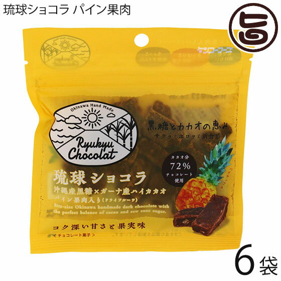 ケンコウフーズ 琉球ショコラ パイン果肉入り 45g×6P 沖縄黒糖 ガーナ産ハイカカオ 72% チャック付き 送料無料