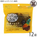 ケンコウフーズ 琉球ショコラ パイン果肉入り 40g×12P 沖縄黒糖 ガーナ産ハイカカオ 72% チャック付き