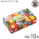 くがに菓子本店 くがにちんすこう ミニ箱 10個入×10箱(4)