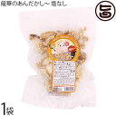 龍華のあんだかし~ 塩なし 70g×1袋 油かす 糖質ゼロ 沖縄 人気 糖質制限 健康管理 MEC食 土産 アンダカシー