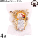 龍華のあんだかし〜 塩なし 70g×4袋 油かす 糖質ゼロ 沖縄 人気 糖質制限 健康管理 MEC食 土産 アンダカシー