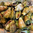 ワクトフーズ 高知県産 マガキガイ 1kg チャンバラ貝