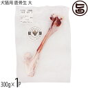 早川ジビエ 犬猫用 鹿骨生 大 300g×1P 無香料 着色料・保存料無添加 山梨ジビエ認証