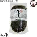 勝連漁協 早摘み生もずく 1kg×1P 沖縄県産