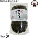 勝連漁協 早摘み生もずく 1kg×5P 沖縄県産