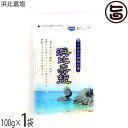 高江洲製塩所 浜比嘉塩 100g×1袋 沖縄県産 天日 平釜
