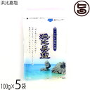 高江洲製塩所 浜比嘉塩 100g×5袋 沖縄県産 天日 平釜