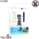 高江洲製塩所 浜比嘉塩 100g×8袋 沖縄県産 天日 平釜