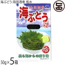 メックインターナショナル 南国酒肴 海ぶどう 50g×5箱 沖縄県産