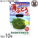 メックインターナショナル 南国酒肴 海ぶどう 50g×10箱 沖縄県産