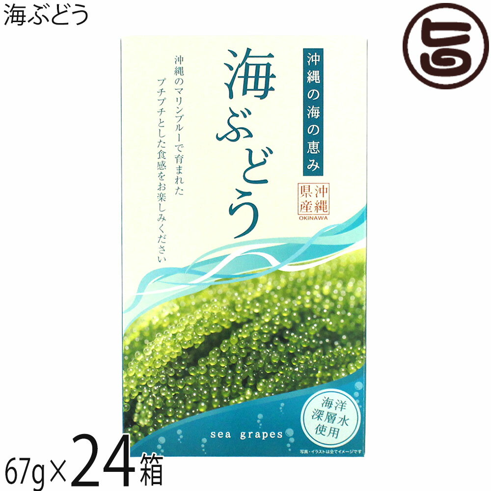 Rakuten - グローアップコーポレーション 海ぶどう 67g×24箱 海洋深層水使用