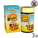 比嘉製茶 春ウコン+紫ウコン錠剤 700粒×3個 沖縄 土産 健康管理 うこん 鬱金 ウッチン