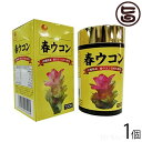 【名称】春ウコン粒 【内容量】100g(145mg×約700粒) 【原材料】春ウコン（沖縄）、乳糖、セルロース、シエラック、シヨ糖脂肪酸エステル、オリゴ糖 【賞味期限】 製造日より24ヶ月 【保存方法】 直射日光・高温多湿を避け、常温で保存...