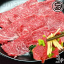 【名称】馬刺し生食用(冷凍) 【内容量】約100g×3P 【賞味期限】製造日より90日 ※解凍後3日以内 【原材料】馬肉 【保存方法】要冷凍(-10℃以下) 【お召上がり方】馬刺しを美味しく食べるためのコツは解凍方法です。 解凍が上手くいかないとドリップが出たりと、馬刺しのうまみを損なう原因になります。 完全に解凍させるより、半解等のほうがスライスしやすいです。 お時間がある場合はお召し上がりになる約3〜4時間前に、冷蔵庫に移し半解凍させてカットします。 完全に解凍してしまうと身が柔らかくなり、切りにくくなりますのでご注意ください。 ※電子レンジでの解凍はせっかくのうまみ成分や脂肪分が抜け出てしまいますので厳禁です。 【販売者】株式会社オリーブガーデン（沖縄県国頭郡恩納村） メーカー名 小田商店 原産国名 日本 産地直送 熊本県 商品説明 極上の旨さ、とろける「霜降り」 口の中でとろける霜降り肉は極上の旨さ！！ 贅沢な食事になること間違いなし。 泡盛、日本酒、焼酎、ワインとの相性も抜群です。 熊本名物【馬刺し】 日本国内で馬肉を生で食べる習慣の熊本県。 馬肉食の習慣のある地域は古来から馬の名産地であり、馬の生産と直結した文化が根付いていたと考えられる。 熊本県産は、馬の生産頭数は少ないが屠畜後の馬肉生産量の4割を占めており日本一の産地となっている。 熊本県では農耕馬である重種が飼育されている。 なお、現在の日本で流通している馬刺し用肉の多くは輸入物、あるいは生体を輸入して国内肥育したものであり、純国産はわずかである。 配送種別について こちらの商品は冷凍便でお届けいたします。宅急便：冷凍着日指定：〇可能 ギフト：×不可 ※生産者より産地直送のため、他商品と同梱できません。※納品書・領収書は同梱できません。　領収書発行は注文履歴ページから行えます。 記載のない地域は送料無料（送料は個数分で発生します） こちらの商品は一部地域で別途送料のお支払いが発生します。「注文確定後の注文履歴」や当店の件名に[重要]とあるメールでご確認ください。 ＋1,370円 北海道 ＋245円 北東北（青森・秋田・岩手） ＋245円 南東北（宮城・山形・福島） ＋1,250円 沖縄 配送不可 離島 ※「配送不可」地域へのご注文はキャンセルとなります。 ※大量注文をご検討のお客様は、ご注文前にお問い合わせください。