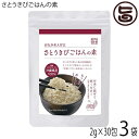 おなか美人宣言 さとうきびごはんの素 60g(30包入)×3袋 沖縄土産 沖縄 土産 健康管理 食物繊維豊富 人気