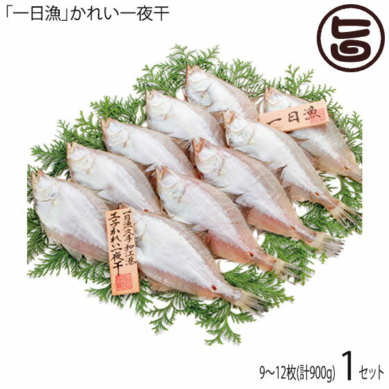かれい一夜干 850g 約8〜12枚 島根県 人気 魚介類 一夜干し 条件付き送料無料