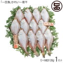 岡富商店「一日漁」かれい一夜干1200g 干物 白かれい 贈り物