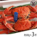 特選 浜ゆで 隠岐松葉ガニ 小 約600g×3杯 ボイル 茹...