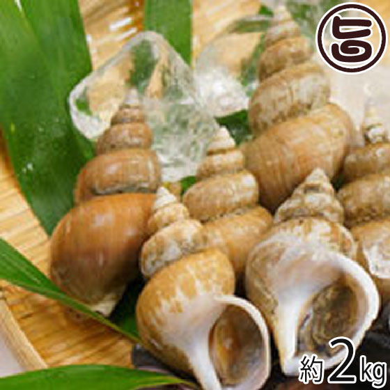 白バイ貝の煮付け レシピ 作り方 By 家飲み親父 楽天レシピ