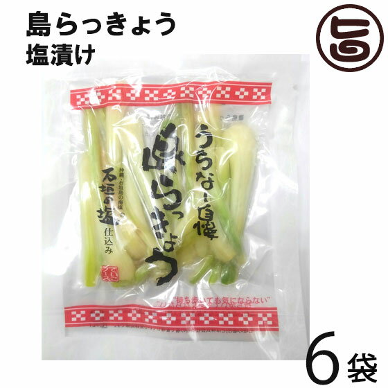 沖縄県産 島らっきょう塩漬け 50g×6袋 でいごフーズ 沖縄県産 おすすめ イチオシ おつまみ 一部地域配送不可