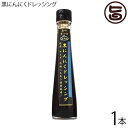 テクノグリーン 黒にんにくドレッシング 120ml×1本 沖縄 健康管理 調味料 人気 シークワーサー