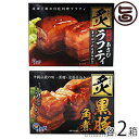 炙り黒豚角煮と炙りラフティ×2セット 沖縄産 豚肉 贅沢 人気 お土産 角煮 レトルト 食べ比べ ラフテー