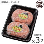 フレッシュミートがなは ハンバーグ やんばる島豚あぐー 黒豚 トンバーグ 150g×2個入り×3P 沖縄 土産 アグー あぐー 貴重 肉 人気