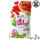 梅塩トマト110g×2P 沖縄美健販売 ドライトマト 人気 お土産沖縄のミネラルたっぷり塩・ぬちまー ...