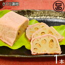 小田商店 さくら蓮根 (中) 1本 熊本名物 からし蓮根のように れんこんの穴にアジアンスパイスを詰めた変わり種 熊本 土産 人気
