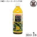オキハム オキナワ シークヮーサー 100 500ml×1本 沖縄 土産 南国フルーツ シークワーサー ノビレチン
