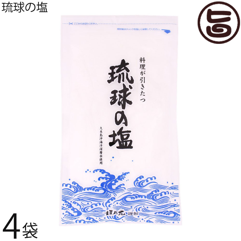 黒糖本舗垣乃花 琉球の塩 450g (大) ×