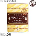 ※こちらの商品は受注生産につき、ご注文後のキャンセルは不可となっております。【名称】焼菓子 【内容量】2個入り×10袋×3箱 【賞味期限】製造日より4ヶ月　※製造元からの出荷に付どこよりも賞味期限の長いものをお送りいたします 【原材料】小麦粉、砂糖、ラード(豚肉由来)、キャラメルパウダー、香料、膨張剤 【保存方法】直射日光、高温多湿を避けて保存してください。 【お召上がり方】袋から取り出し、そのままお召し上がりいただけます。おやつや小腹が空いた時にどうぞ。※個包装なので、バラマキにも便利です【JANコード】4945344120419 【販売者】株式会社オリーブガーデン（沖縄県国頭郡恩納村） メーカー名 優菓堂 原産国名 日本 産地直送 沖縄県 商品説明 このちんすこうは、キャラメルを練り込みました。ほんのり香るキャラメルの風味とサクサクとした食感をお楽しみください。◆ちんすこう本来の食感を再現◆優菓堂さんの特徴は、本来のちんすこうを忠実に再現されています。お土産として、認知が上がり始めた頃から、お持ち帰り中の割れが問題視され始めました。食感より重視され、更に通販によりその傾向は、顕著なものとなって結果、食感よりも割れにくいちんすこうが、氾濫する中、優菓堂さんは割れよりもサクサク度とホロホロ度に妥協することなく、本来のちんすこうを忠実に再現されています。割れ防止のため、他社のちんすこうよりも厚く仕上げています。万全を期してはいますが、配送途中で、割れが、生じることがございますが、多少は大目に見て頂けると助かります。 安全上のお知らせ 乳・卵・大豆を使用した施設で、製造しています。※ちんすこうは、個包装の上、空気を充てんし、割れないように万全の態勢でお送りしますが、配送途中で破損する場合が御座いますので、出来るだけ受取時に佐川さんの配達員立ち合いのもとご開封ください。万が一破損の場合は、受け取りを拒否頂けますので、返送の手間が省けます。弊社に御一報頂ければ直ぐに代替品を発送させて頂きます。宅急便：常温着日指定：〇可能 ギフト：×不可 ※生産者より産地直送のため、他商品と同梱できません。※納品書・領収書は同梱できません。　領収書発行は注文履歴ページから行えます。 こちらの商品は全国送料無料です