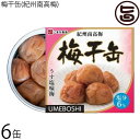 こまち食品 梅干缶(紀州南高梅)塩分6% 約80g×6缶セット 災害食大賞2023 優秀賞受賞