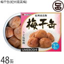 こまち食品 梅干缶(紀州南高梅)塩分6% 約80g×48缶セット 災害食大賞2023 優秀賞受賞