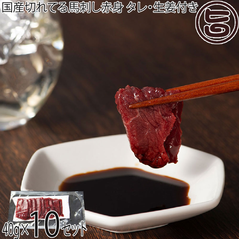 ギフト フジチク 国産 切れてる馬刺し 赤身 40g×10P タレ・生姜付き 熊本県 土産 人気 馬肉 低カロリー 低脂質 ご自宅用に 贈り物に