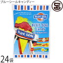 オキコ ブルーシールキャンディー 80g×24袋