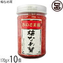 北海道名販 梅なめ茸 170g×10個 北海道きのこ王国