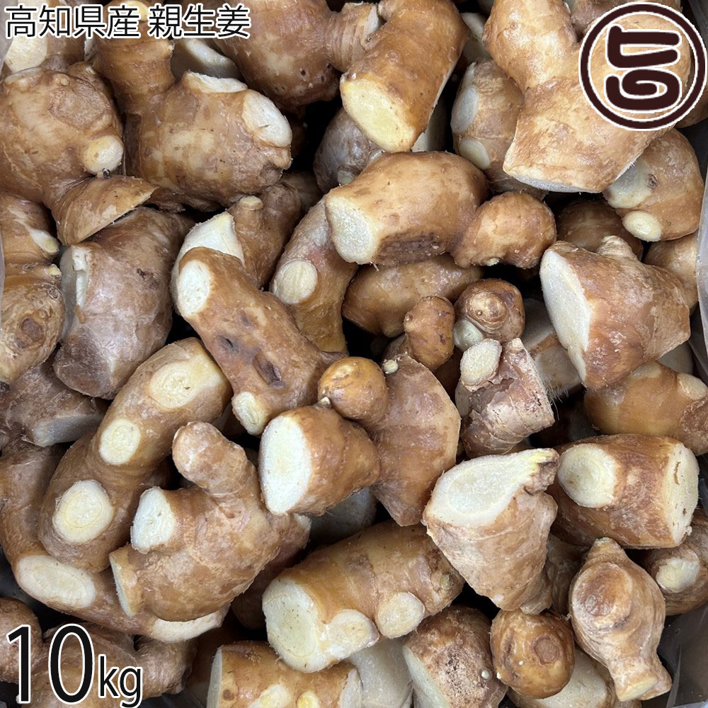 Ginger - ワクトフーズ 高知県産 親生姜 10kg×1箱 高知県