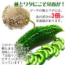 うっちん沖縄 種入り ゴーヤー茶 ティーパック(1.5g×30包入)×2P ゴーヤをスライスし、種もまるごと焙煎した健康茶 沖縄 土産 人気 健康茶 健康管理 3