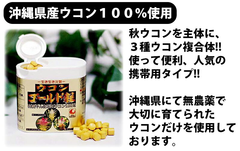 ウコン複合体 ウコンゴールド粒 携帯用 130粒入×10P 沖縄土産 沖縄 土産 うこん 健康管理 送料無料