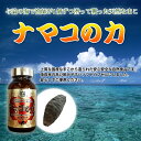 ヨロン島自然薬草本舗 ナマコの力 460mg(180粒入り)×2瓶 コンドロイチン ビタミン 海参 海鼠 なまこ おすすめ 2