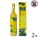 シークヮーサー 原液 沖縄県山原産100% 500ml×2本 沖縄 土産 人気 シークワーサー 原液 ジュース ノビレチン クエン酸