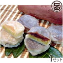 いきなり団子 黒あん10個+白あん5個 熊本県 九州 復興支...