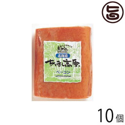 北海道 ちほく高原ベーコン 380g×10個 ブロック 加工肉 お土産 人気 ベーコン