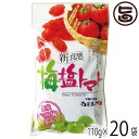 梅塩トマト110g×20P 沖縄美健販売 ドライトマト 人気 お土産沖縄のミネラルたっぷり塩・ぬちまーすと紀州梅を使用