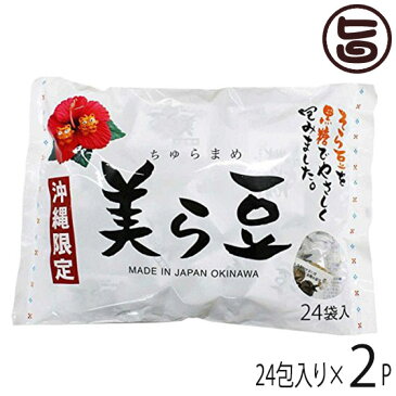 美ら豆 (大) 240g(10g×24包)×2袋 沖縄 おつまみ 人気 土産 条件付き送料無料