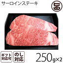 ギフト用 A4～5等級のきたかみ牛 サーロインステーキ 250g x 2枚 岩手県 ブランド牛 サーロイン ステーキ 贈答用 プレゼント ギフト