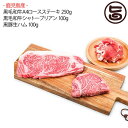 鹿児島産黒毛和牛A4ロースステーキ 250g 鹿児島産黒毛和牛シャトーブリアン 100g 鹿児島産黒豚生ハム 100g 鹿児島産 和牛