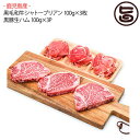 鹿児島産黒毛和牛シャトーブリアン 100g×3枚 鹿児島産黒豚生ハム 100g×3P 鹿児島 和牛 黒豚 絶品